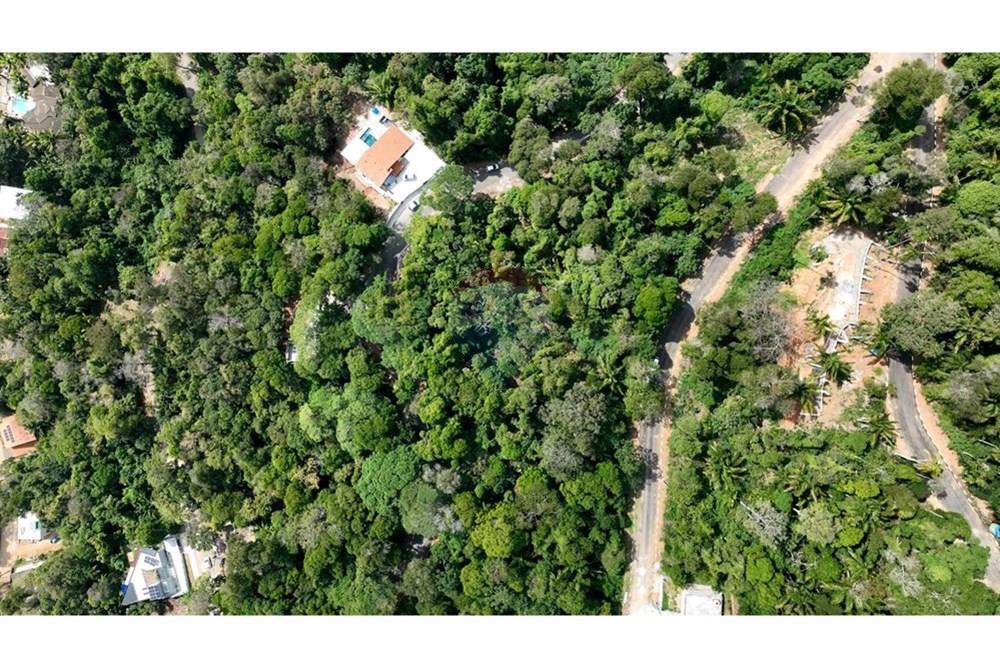 Terreno - Venda - Ilhabela , São Paulo - DJI_0825.00_01_24_34.Quadro005.jpg - 630951011-33