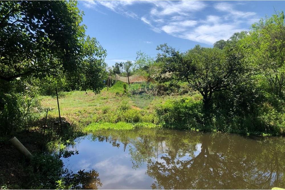 Chácara / Sítio / Fazenda - Venda - Santa Isabel , São Paulo - WhatsApp Image 2025-02-20 at 14.04.35 (1).jpeg - 631491020-25