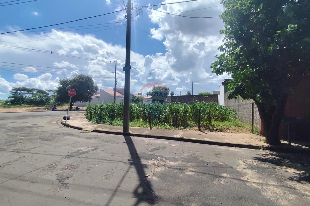 Terreno - Venda - Penápolis , São Paulo - IMG_20260114_143755.jpg - 631191036-8