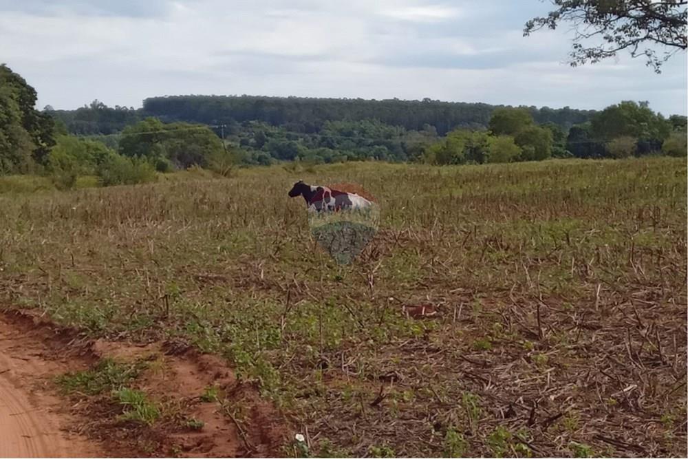 Terreno - Venda - Tupã , São Paulo - IMG-20250521-WA0012.jpg - 630151046-26