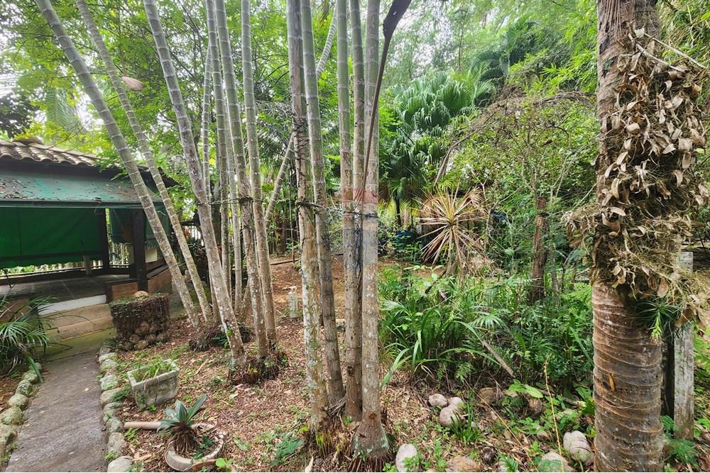 Casa - Venda - Maricá , Rio de Janeiro - WhatsApp Image 2025-07-03 at 11.38.33.jpeg - 630121021-351