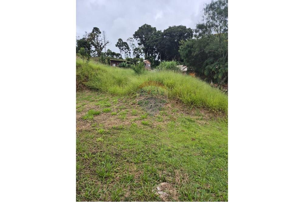 Casa - Venda - Apiaí , São Paulo - WhatsApp Image 2025-03-27 at 14.55.39.jpeg - 630241006-7