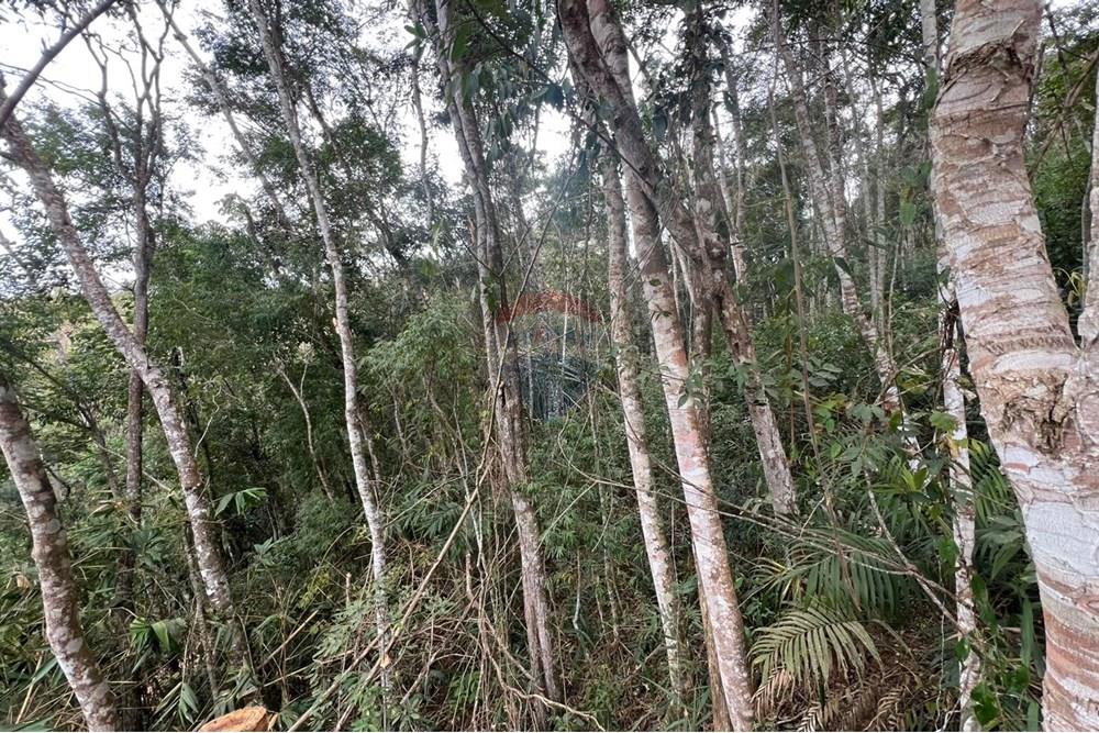 Terreno - Venda - Teresópolis , Rio de Janeiro - IMG-20250715-WA0006.jpg - 630191078-35