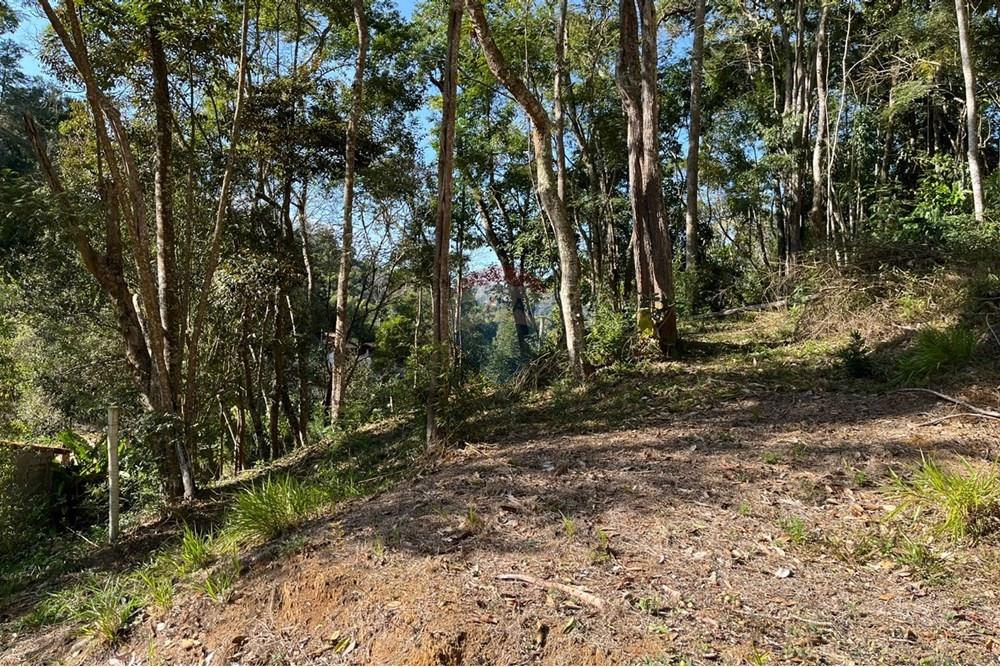 Terreno - Venda - Teresópolis , Rio de Janeiro - WhatsApp Image 2025-09-25 at 16.27.05 (1).jpeg - 630191097-5