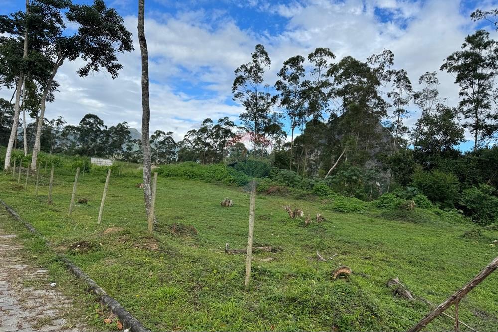 Terreno - Venda - Nova Friburgo , Rio de Janeiro - WhatsApp Image 2025-04-29 at 14.53.36 (2).jpeg - 630551023-218