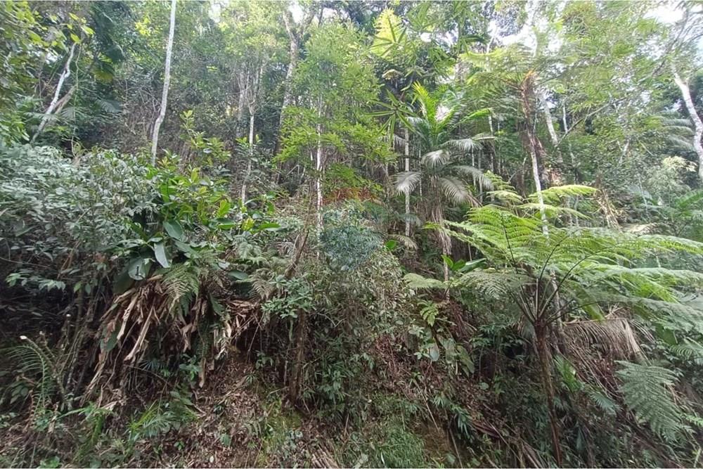 Terreno - Venda - Teresópolis , Rio de Janeiro - 16.jpeg - 630191109-22