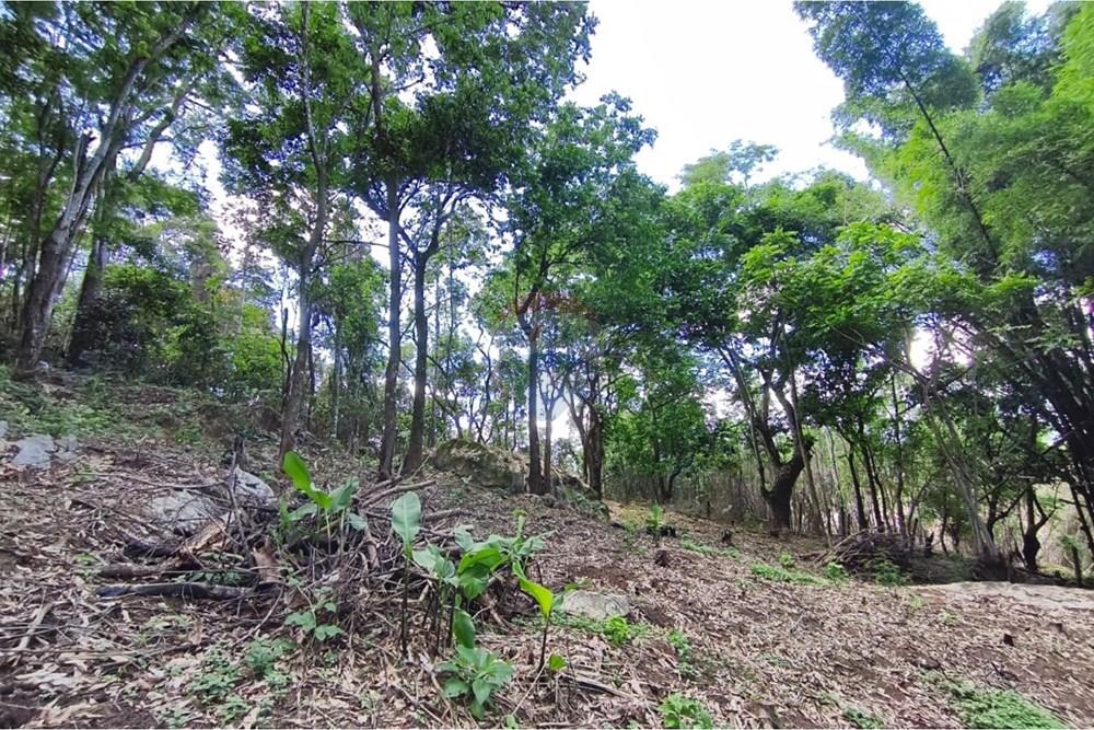 Terreno - Venda - Rio Bonito , Rio de Janeiro - WhatsApp Image 2026-03-26 at 15.58.44.jpeg - 631351006-8