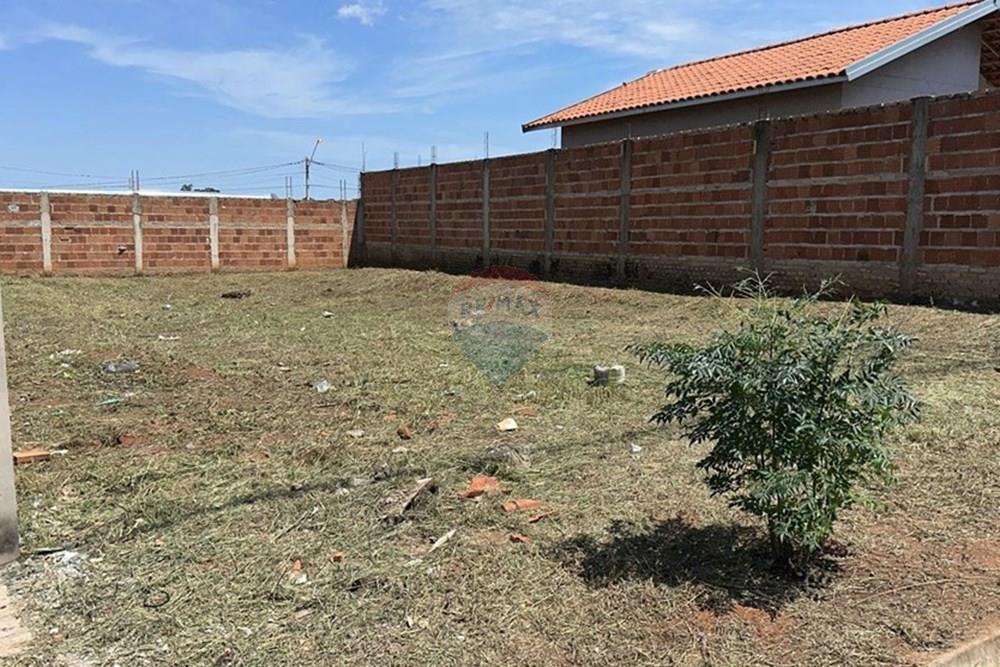 Terreno - Venda - Lins , São Paulo - WhatsApp Image 2025-05-16 at 09.45.11 (2).jpeg - Quintal - 631011035-16
