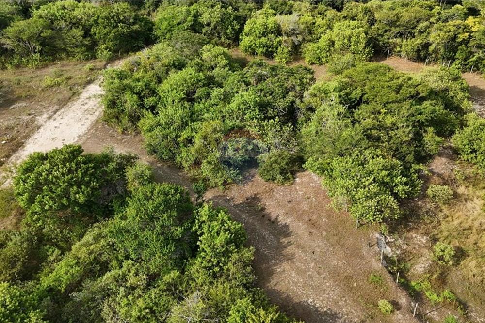 Terreno - Venda - Armação dos Búzios , Rio de Janeiro - dji_fly_20250310_154340_0014_1742265330894_photo.JPG - 630391033-21