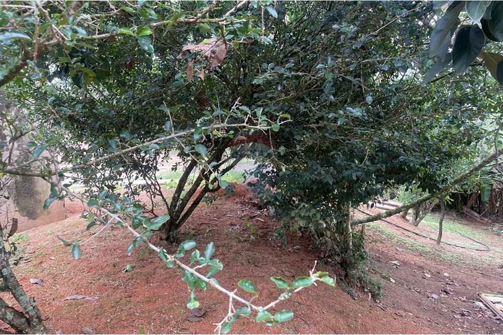 Chácara à venda com 2 quartos, 15340m² - Foto 15