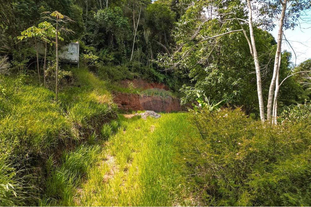 Terreno - Venda - Teresópolis , Rio de Janeiro - WhatsApp Image 2025-03-19 at 22.26.42.jpeg - 630191021-109