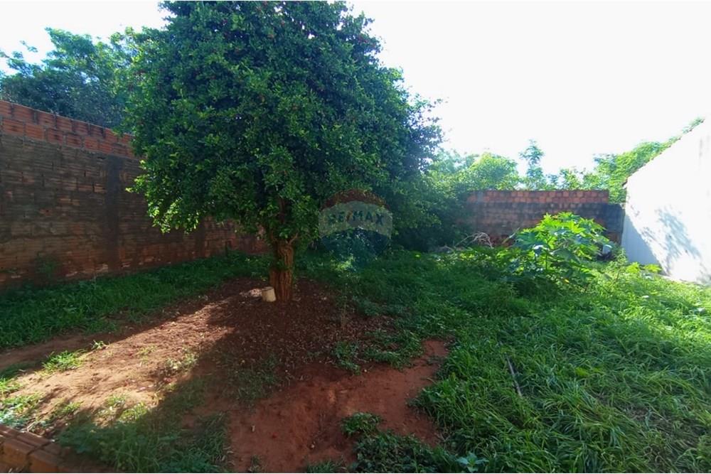 Casa - Venda - Lins , São Paulo - 13.jpeg - 630511048-37