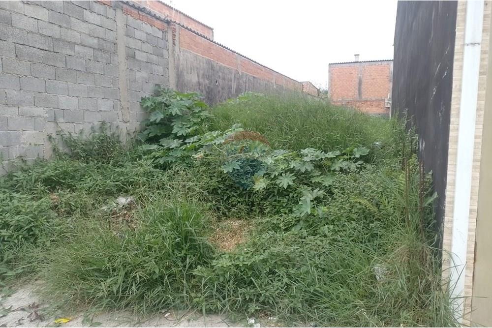 Terreno - Venda - Suzano , São Paulo - WhatsApp Image 2025-06-23 at 20.48.44.jpeg - 630751053-128