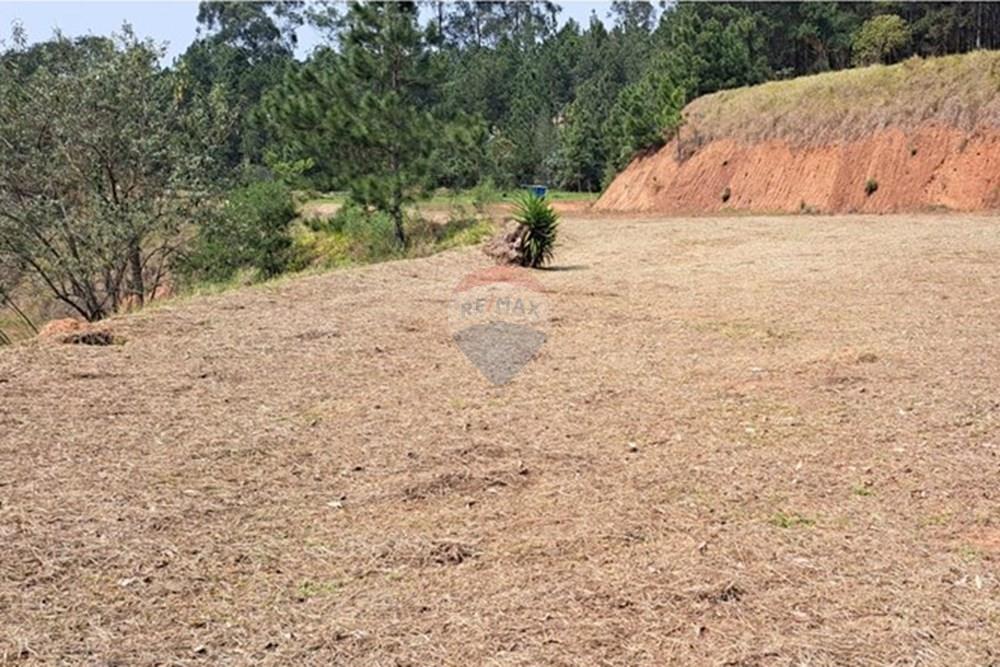 Chácara / Sítio / Fazenda - Venda - Araçariguama , São Paulo - IMG-20240913-WA0011.jpg - 631601010-7