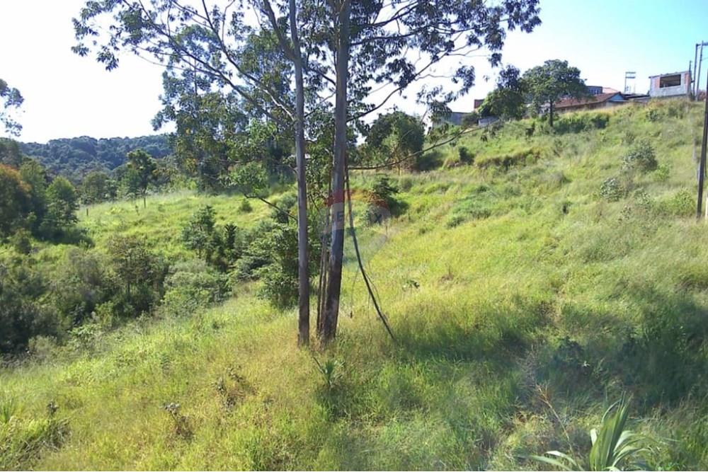 Chácara / Sítio / Fazenda - Venda - Mairiporã , São Paulo - WhatsApp Image 2025-11-25 at 11.42.33 (1).jpeg - 631361071-2