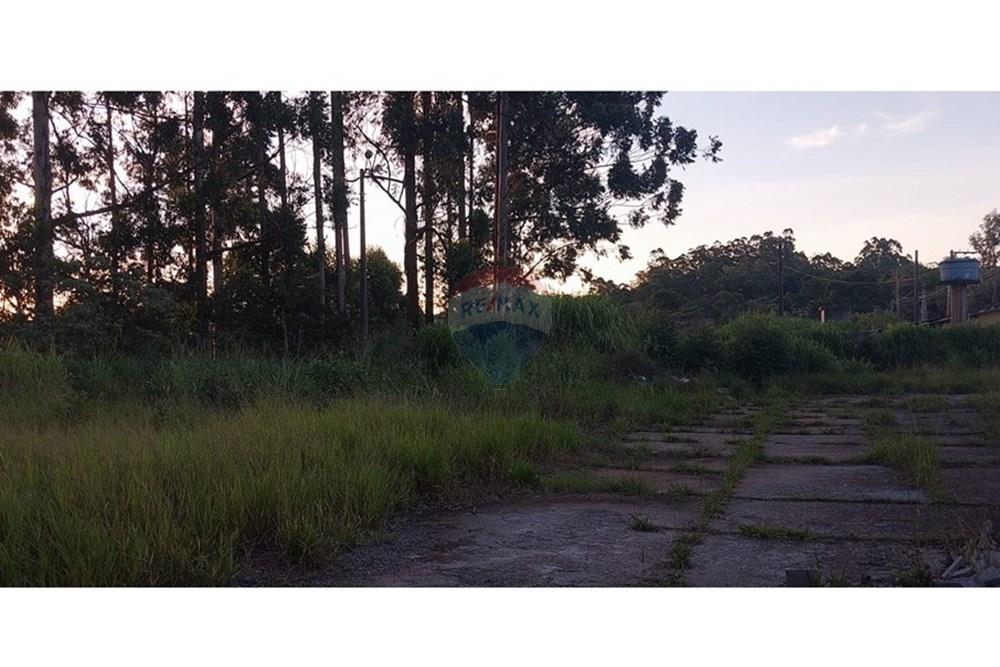 Galpão - Alugar - Mairiporã , São Paulo - galpao.jpg - 631361005-162