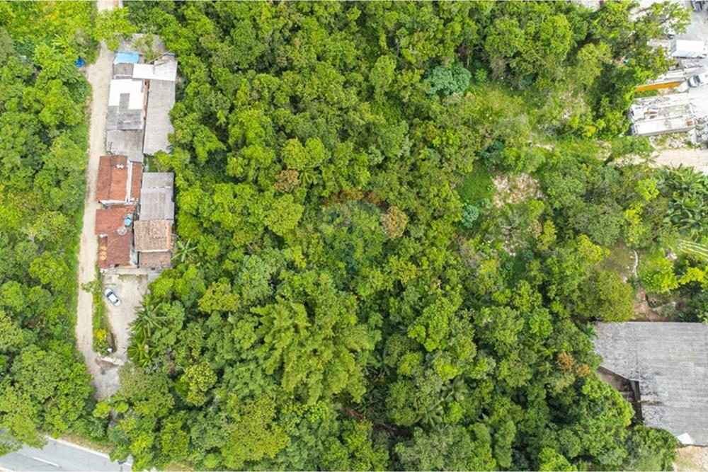 Commercial - Lahan - São Sebastião , São Paulo - BR - DJI_0829.JPEG - 631461029-6