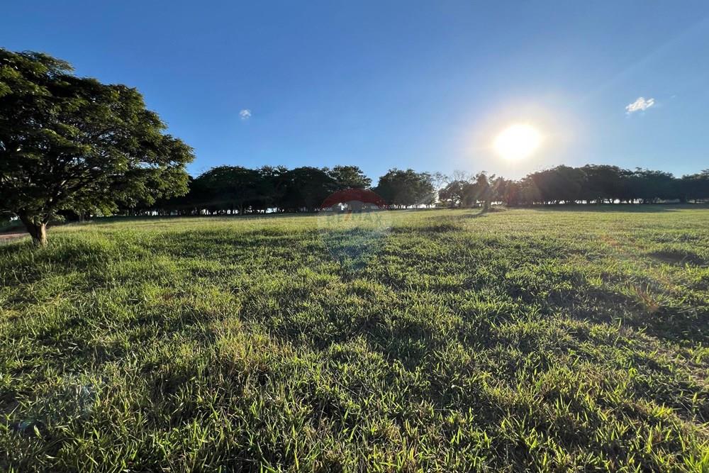 Terreno - Venda - Paranapanema , São Paulo - WhatsApp Image 2026-04-01 at 15.48.35.jpeg - 630481140-9