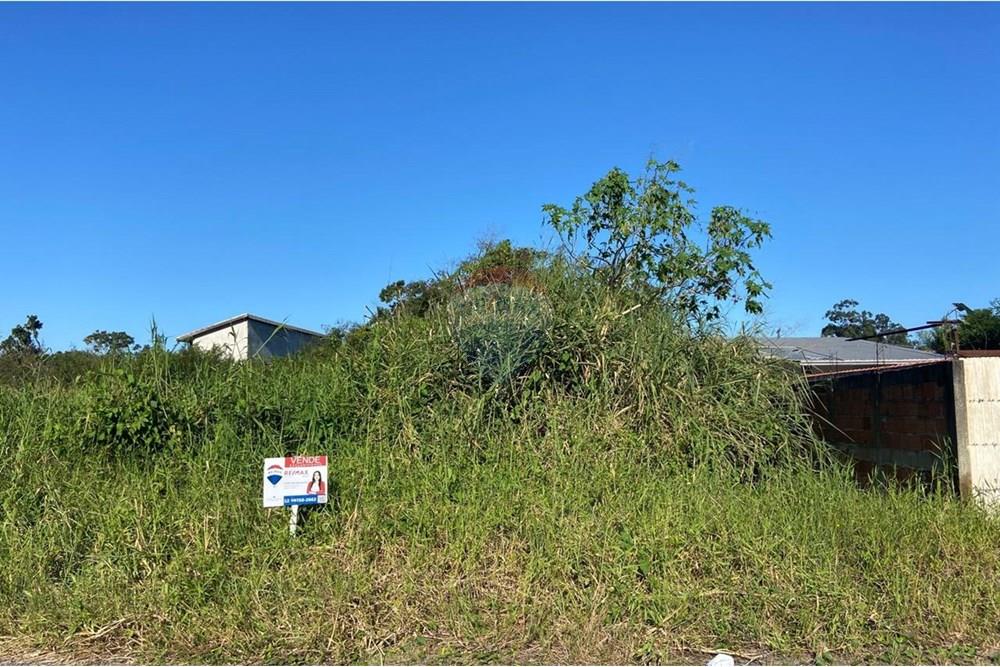 Terreno - Venda - Caraguatatuba , São Paulo - Imagem do WhatsApp de 2025-06-16 à(s) 17.31.49_8c63a378.jpg - 631571003-13