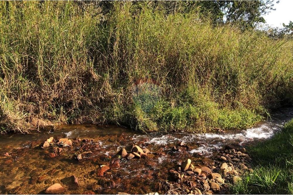 Chácara / Sítio / Fazenda - Venda - Monteiro Lobato , São Paulo - IMG-20240726-WA0111.jpg - 631431003-134