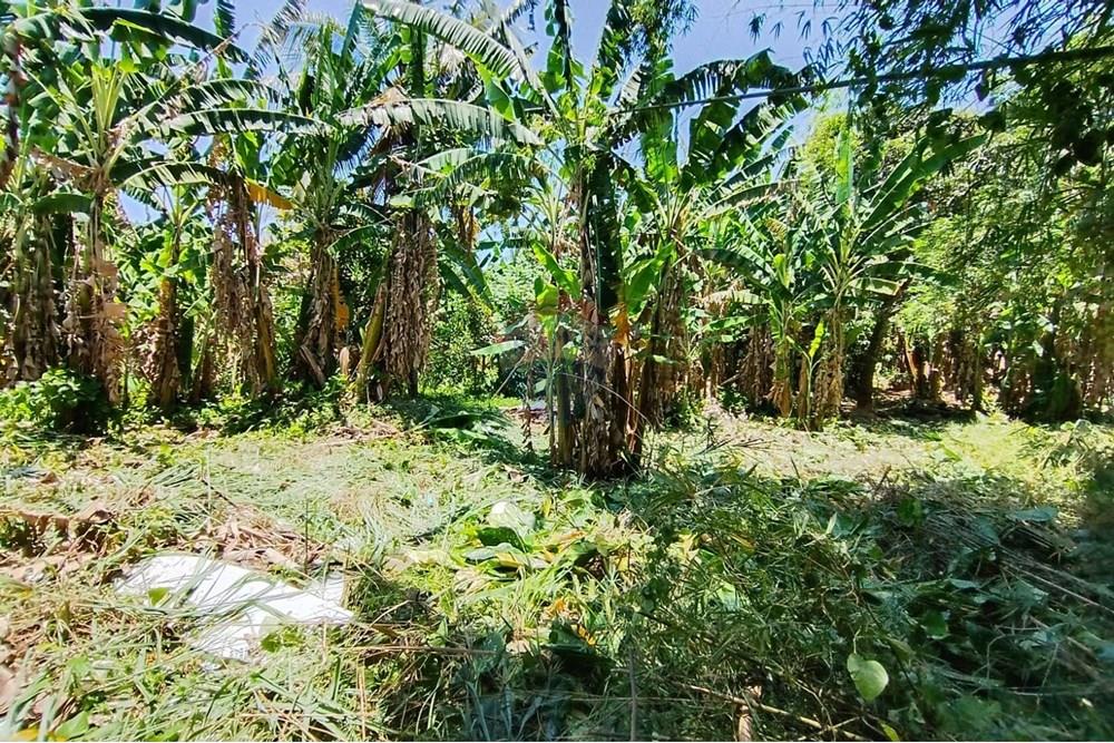 Terreno - Venda - Nova Iguaçu , Rio de Janeiro - WhatsApp Image 2025-12-29 at 16.27.44 (2).jpeg - 630291063-35