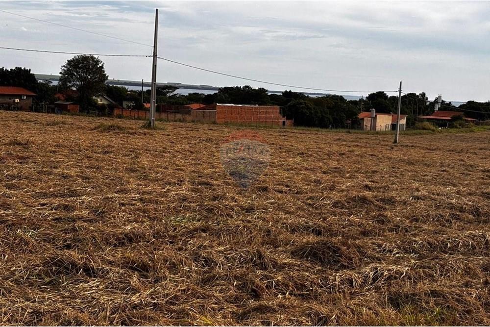 Terreno - Venda - Pereira Barreto , São Paulo - WhatsApp Image 2025-07-10 at 08.47.05 (1).jpeg - 631201049-47