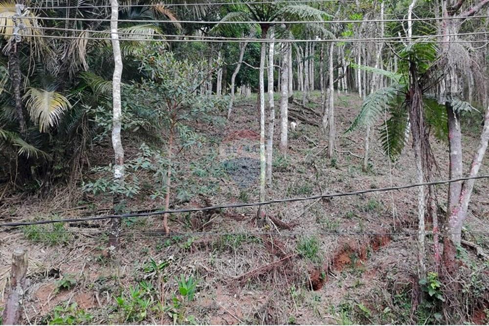 Terreno - Venda - Teresópolis , Rio de Janeiro - DJI_20251223091607_0229_D.JPG - 630191109-14