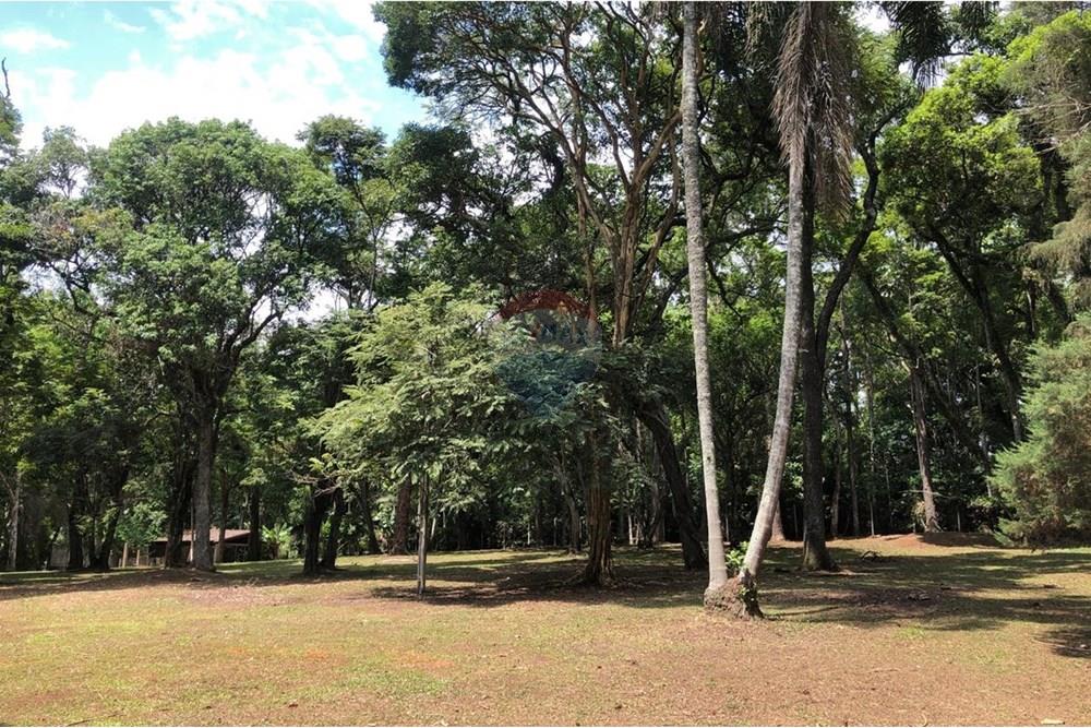 Chácara / Sítio / Fazenda - Venda - Arujá , São Paulo - WhatsApp Image 2025-12-08 at 11.04.36.jpeg - 631491019-2