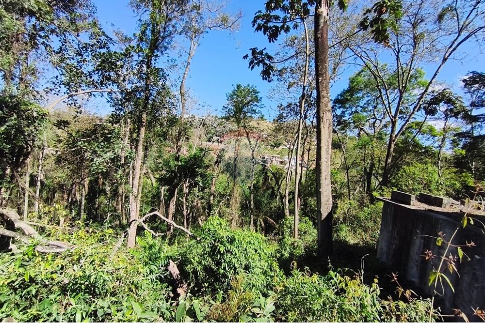 Terreno - Venda - Mairiporã , São Paulo - Terreno rafael 16.jpg - 631361059-12