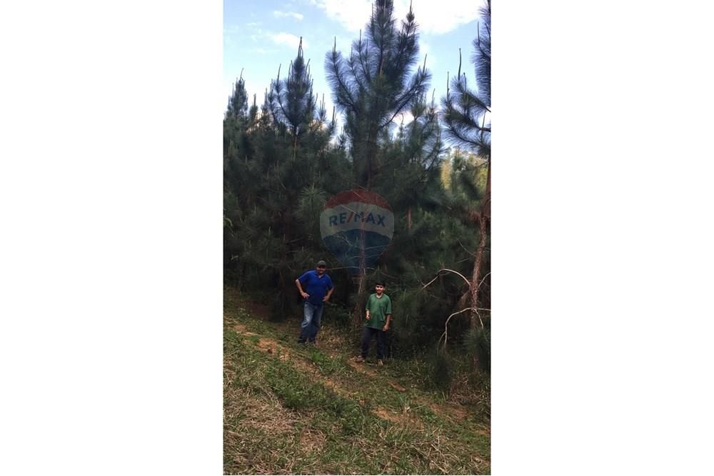 Chácara / Sítio / Fazenda - Venda - Barra do Chapéu , São Paulo - WhatsApp Image 2025-04-11 at 15.16.25 (1).jpeg - 630241005-68