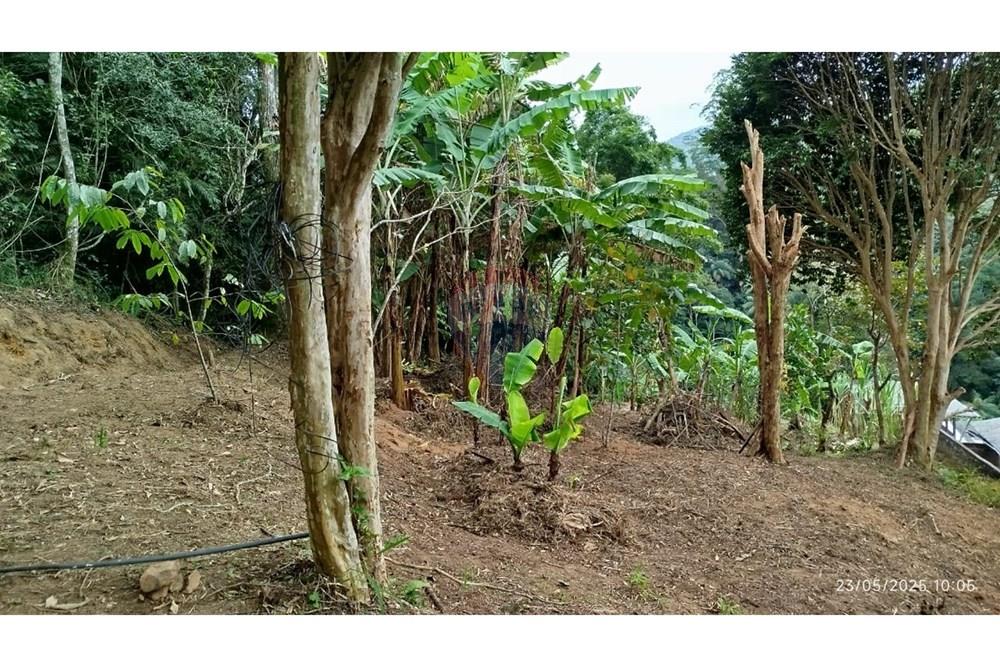 Terreno - Venda - Petrópolis , Rio de Janeiro - WhatsApp Image 2025-05-26 at 12.02.30 (1).jpeg - 630131076-3