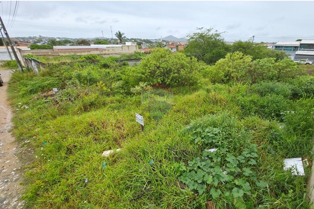 Terreno - Venda - Cabo Frio , Rio de Janeiro - 20260122_121145.jpg - 631551041-6
