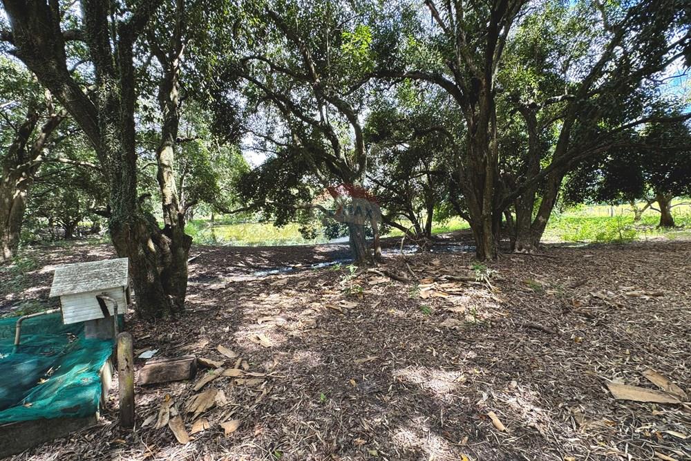 Chácara / Sítio / Fazenda - Venda - Birigui , São Paulo - 20260129_132947231_iOS.jpg - 630541040-79