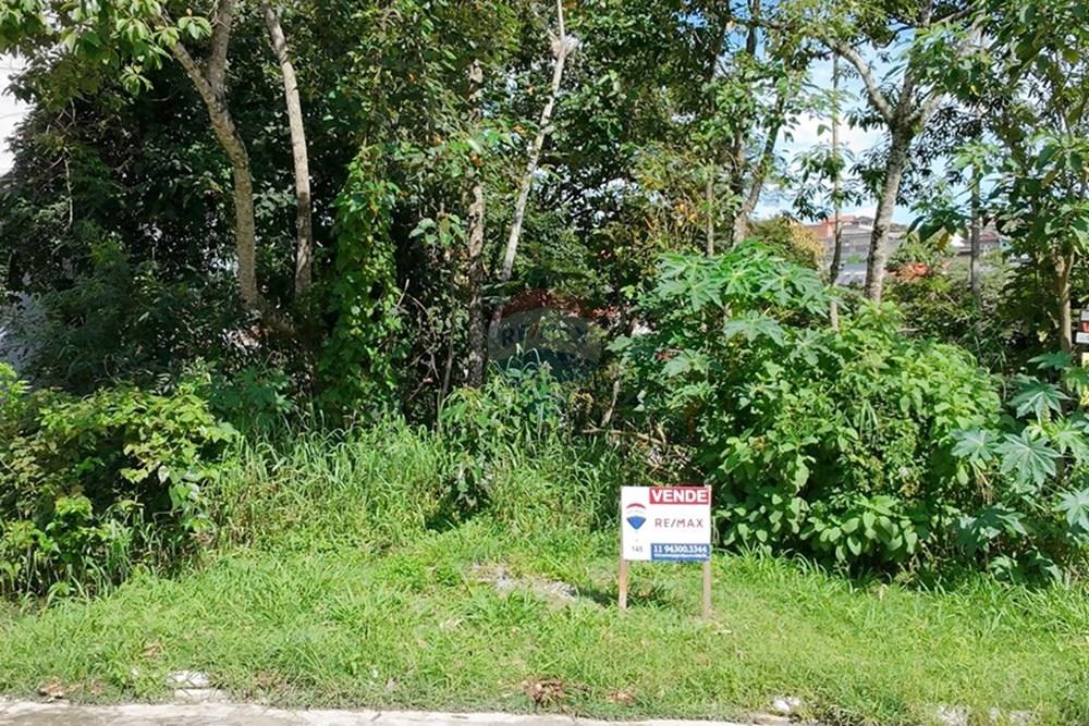 Terreno - Venda - Mairiporã , São Paulo - dji_fly_20260221_095030_0129_1771777025066_photo (Custom).jpg - 631361080-8