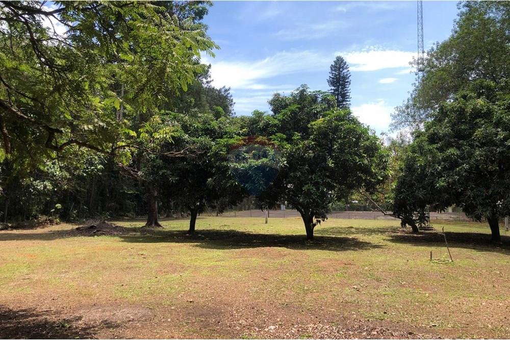 Chácara / Sítio / Fazenda - Venda - Arujá , São Paulo - WhatsApp Image 2025-12-08 at 11.04.36 (5).jpeg - 631491019-2