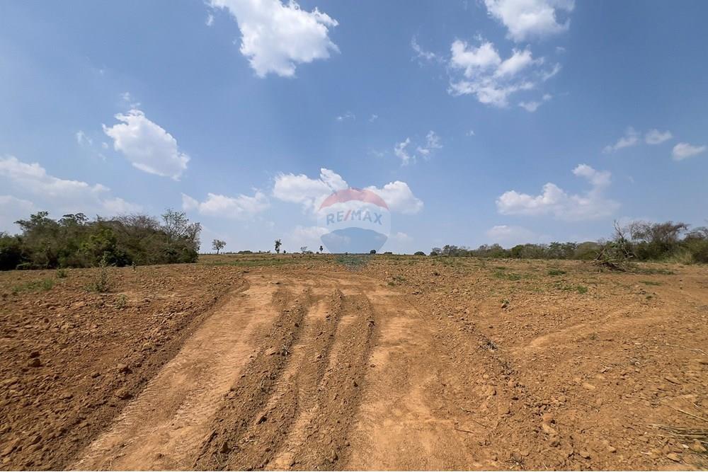 Terreno - Venda - Boituva , São Paulo - IMG_3588_DNG.jpg - 630601137-110