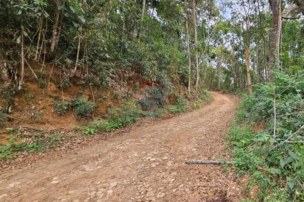 Terreno - Venda - Teresópolis , Rio de Janeiro - WhatsApp Image 2026-01-27 at 14.34.44.jpeg - 630191101-10