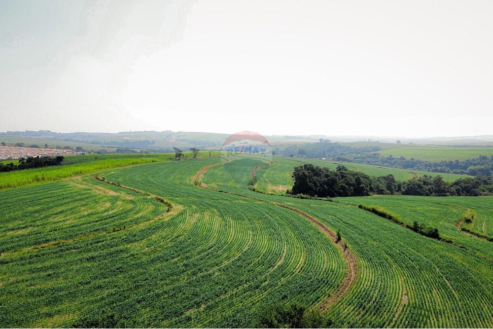 Terreno - Venda - Boituva , São Paulo - Loteamento - Boituva - 7.jpg - 630601137-110