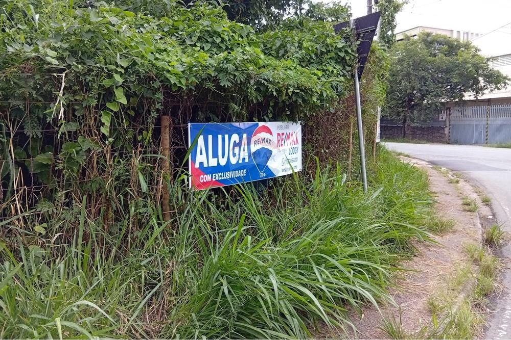 Terreno - Alugar - São Roque , São Paulo - 1000027981.jpg - 631601017-79