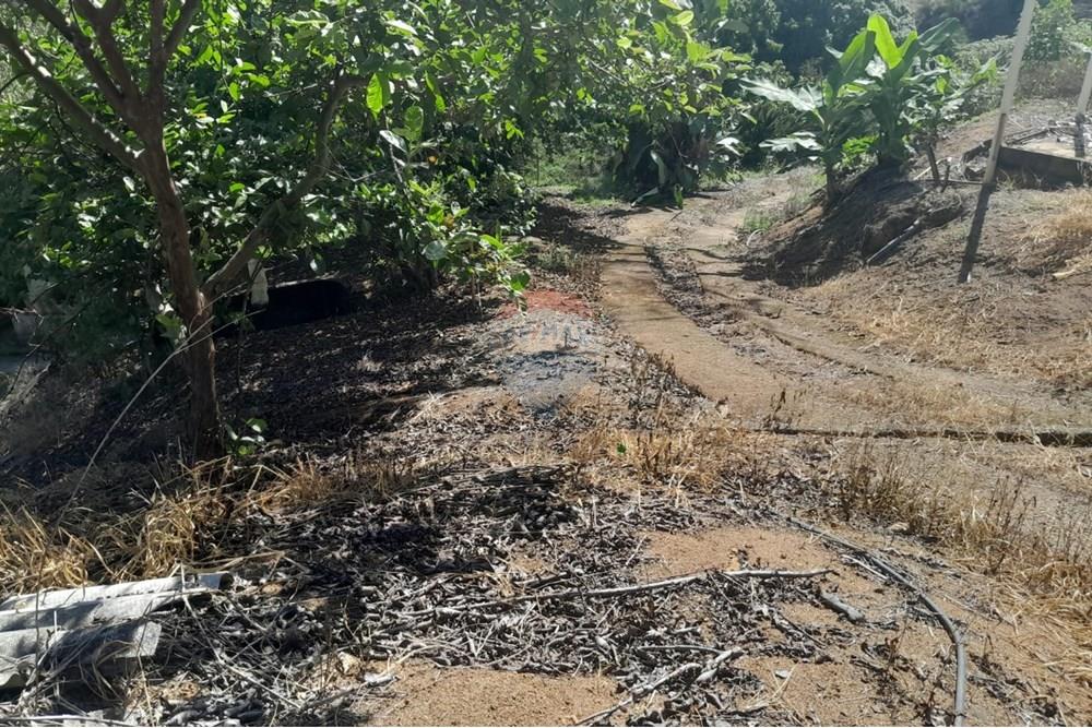 Chácara / Sítio / Fazenda - Venda - Bom Jardim , Rio de Janeiro - WhatsApp Image 2025-12-01 at 10.15.00 (1).jpeg - 630171007-64