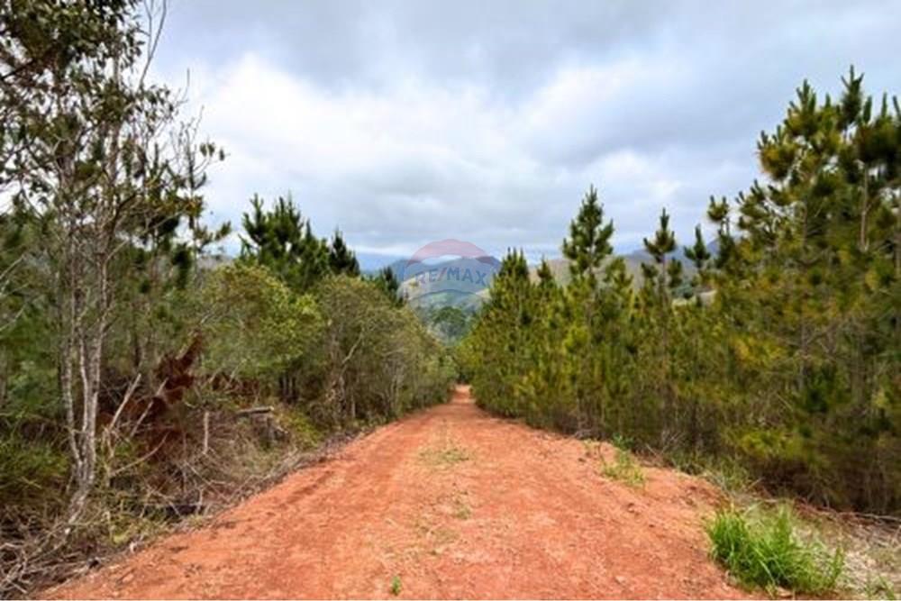 Terreno - Venda - Petrópolis , Rio de Janeiro - 4.jpg - 631611002-13