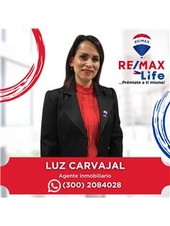 Agente Inmobiliario - Luz Elena Carvajal Garces - RE/MAX Life