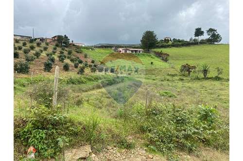 Parduodama-Žemės sklypas-San Vicente  - Antioquia, San Vicente-660471151-32