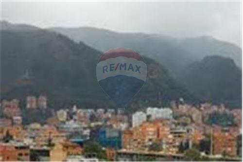 dr martens chapinero