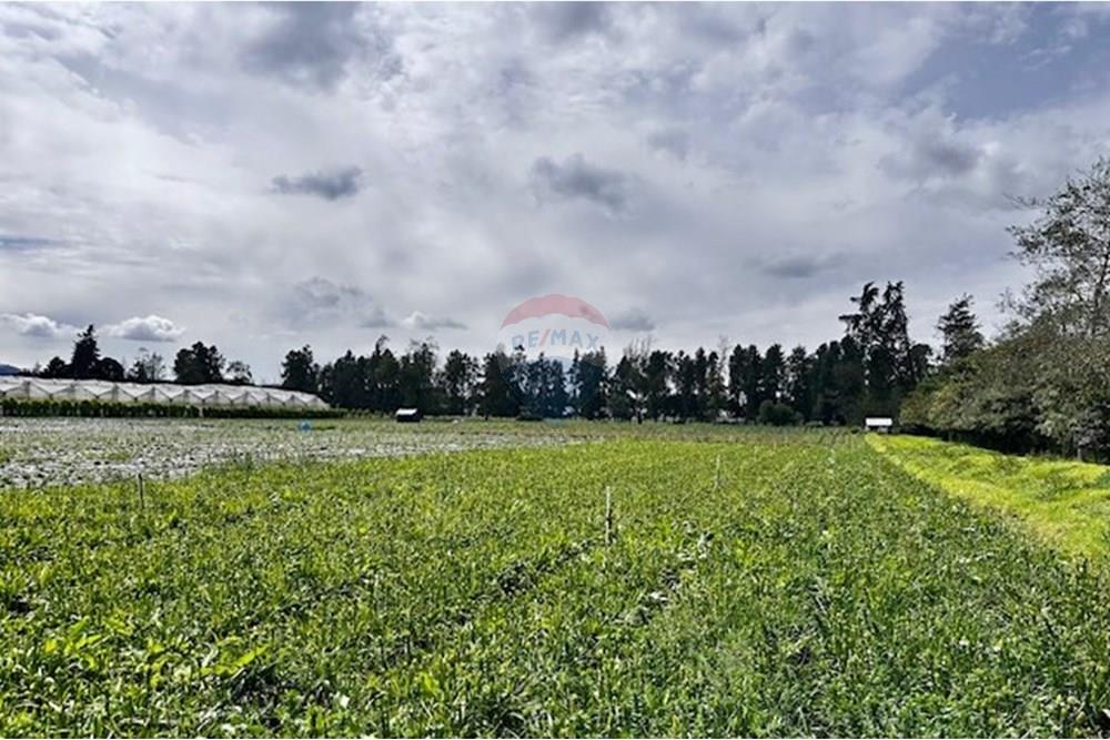 מסחרי - קרקע - Cundinamarca, El Rosal - CO - 3 Foto Lote El Rosal.jpg - 660271158-2