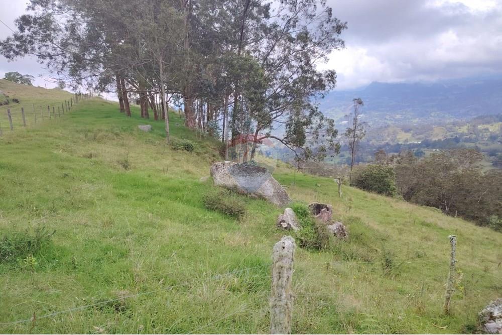 Residencial - Terreno - Cundinamarca, Pacho - CO - Imagen de WhatsApp 2025-03-27 a las 14.18.27_70989964.jpg - 660541055-24