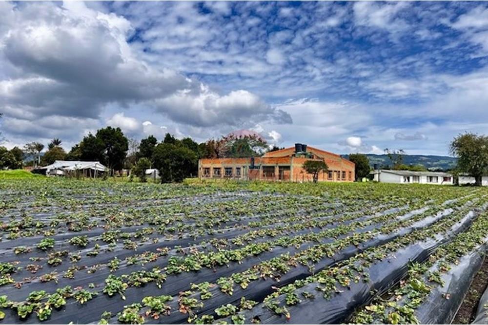 מסחרי - קרקע - Cundinamarca, El Rosal - CO - 11 Foto Lote El Rosal.jpg - 660271158-2