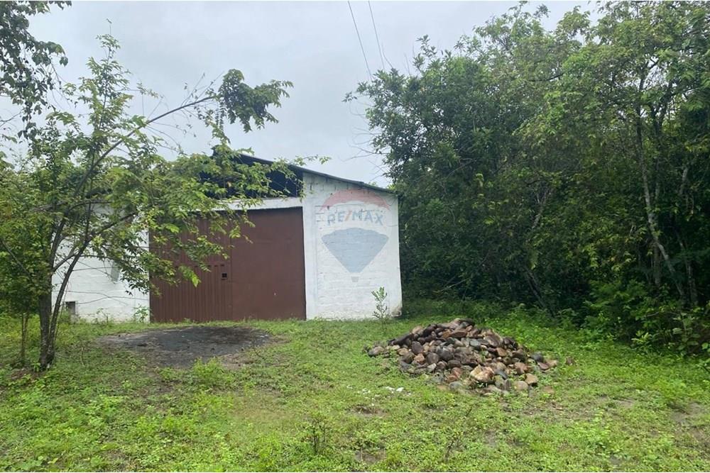 Residenční - Pozemek - Tolima, Guamo - CO - IMG-20250512-WA0008.jpg - 660361056-32