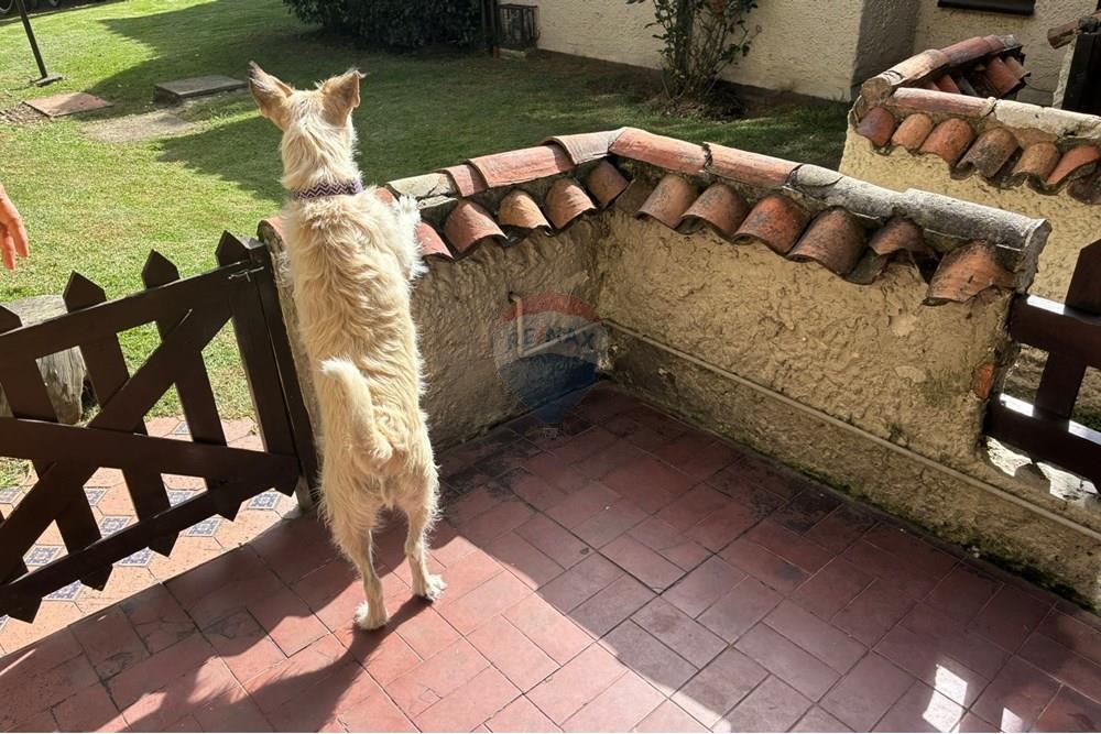 lakó - Különálló - Bogotá, Usaquén - CO - IMG_3904.JPEG - 660481050-124