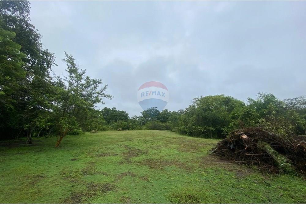 Residenční - Pozemek - Tolima, Guamo - CO - IMG-20250512-WA0006.jpg - 660361056-32